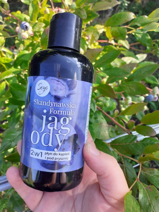 Seyo Żel pod prysznic i płyn do kąpieli, 2w1, Skandynawska Formuła, Jagody