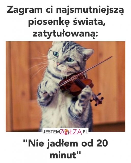 Śmieszne memy/filmiki/tiktoki
