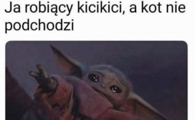 Śmieszne memy/filmiki/tiktoki