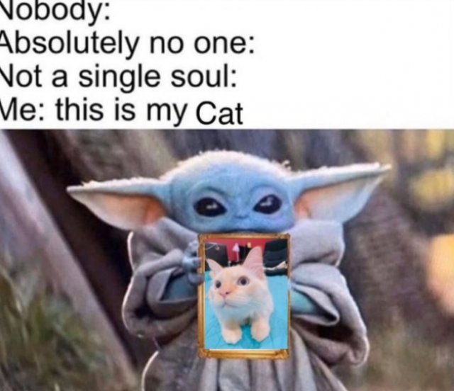 Śmieszne memy/filmiki/tiktoki