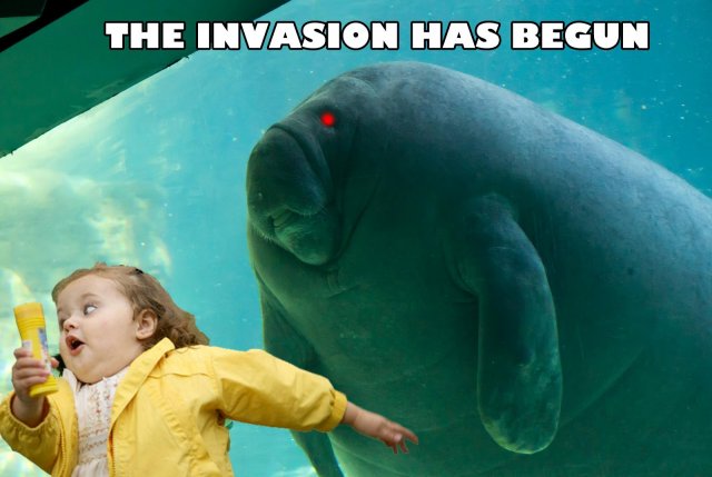 Śmieszne memy/filmiki/tiktoki