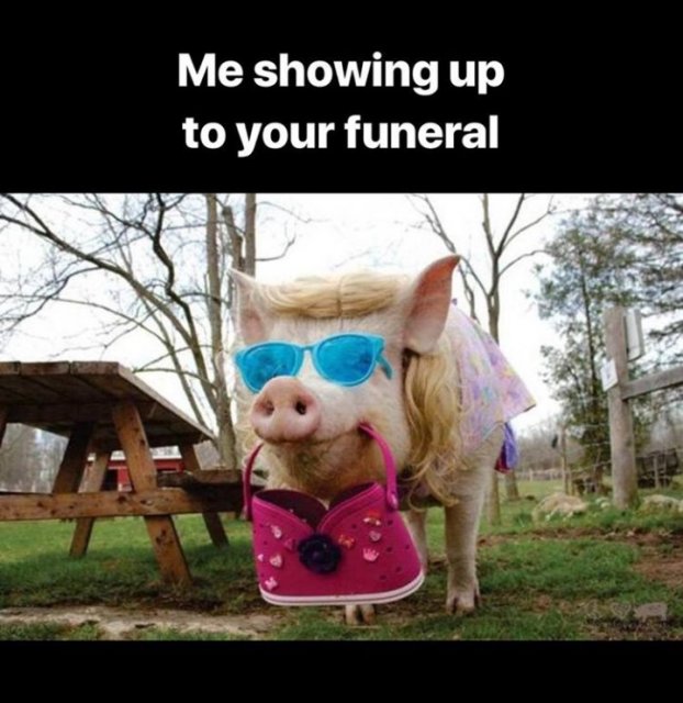 Śmieszne memy/filmiki/tiktoki