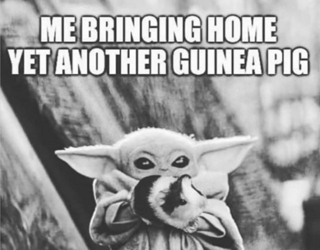 Śmieszne memy/filmiki/tiktoki