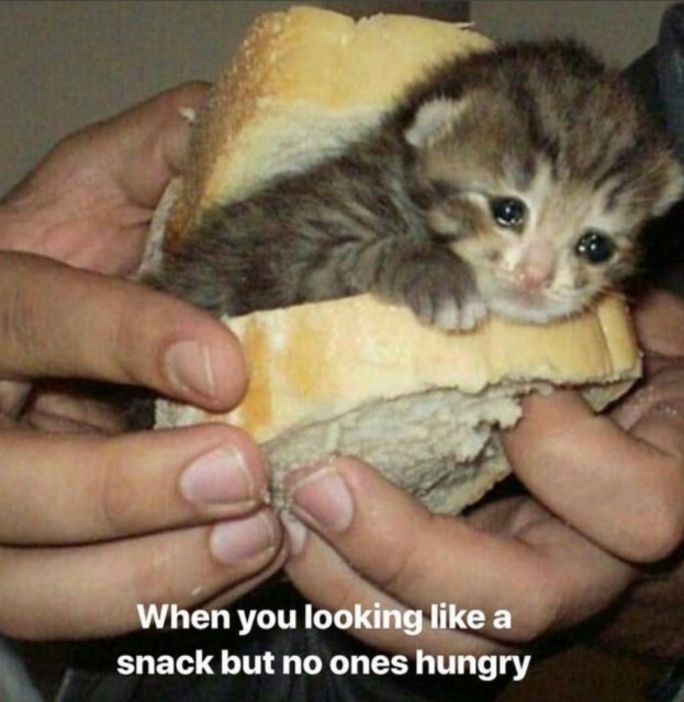 Śmieszne memy/filmiki/tiktoki