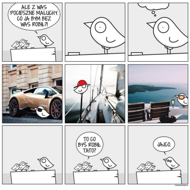 Śmieszne memy/filmiki/tiktoki