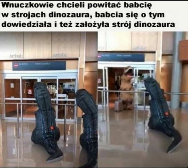 Śmieszne memy/filmiki/tiktoki