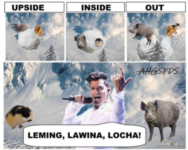 Śmieszne memy/filmiki/tiktoki