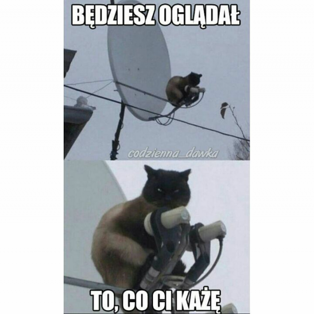 Śmieszne memy/filmiki/tiktoki