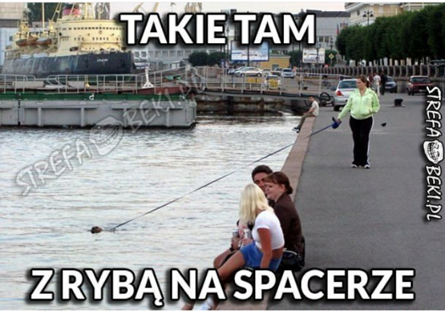 Śmieszne memy/filmiki/tiktoki