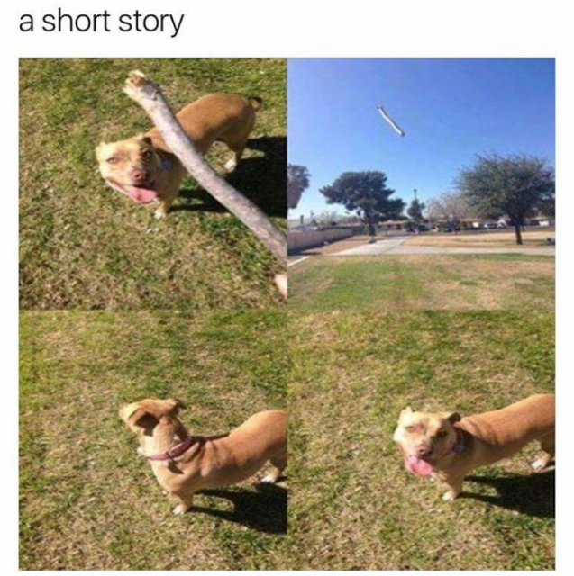 Śmieszne memy/filmiki/tiktoki