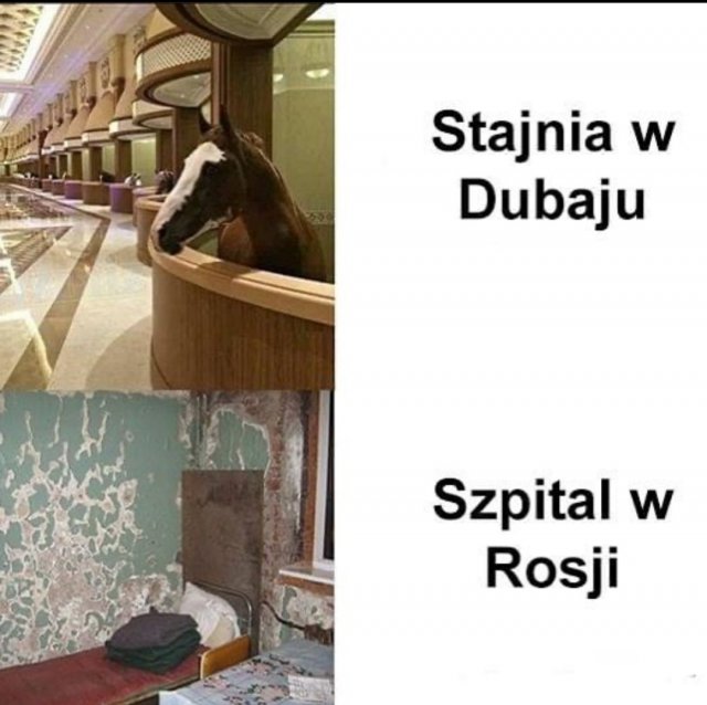 Śmieszne memy/filmiki/tiktoki