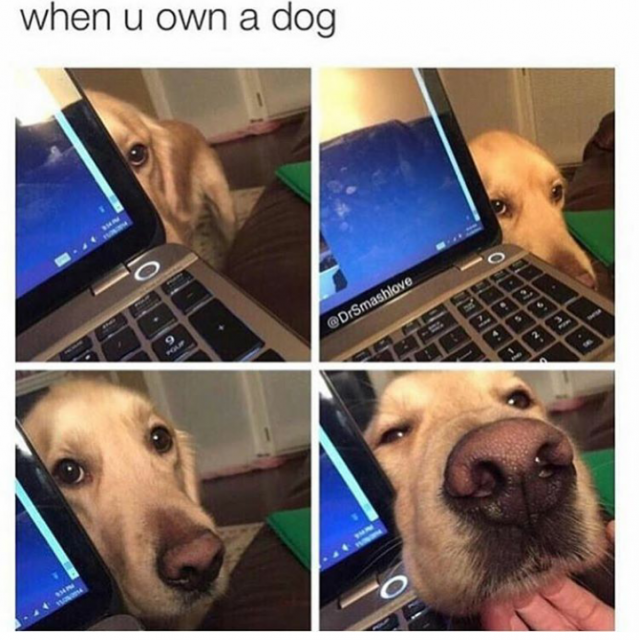 Śmieszne memy/filmiki/tiktoki