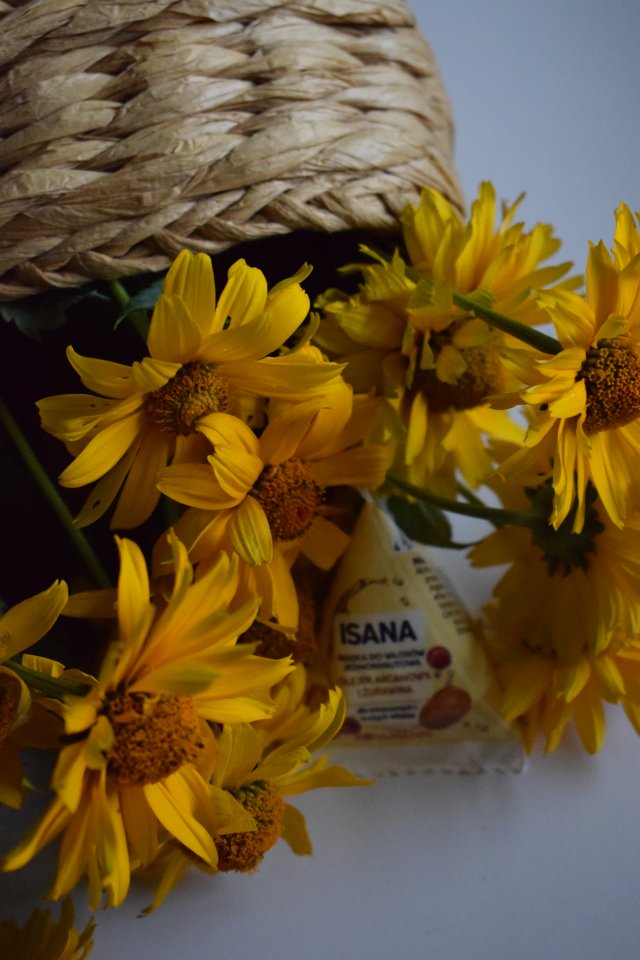 Isana Maska do włosów, Jednominutowa, Olej arganowy i żurawina