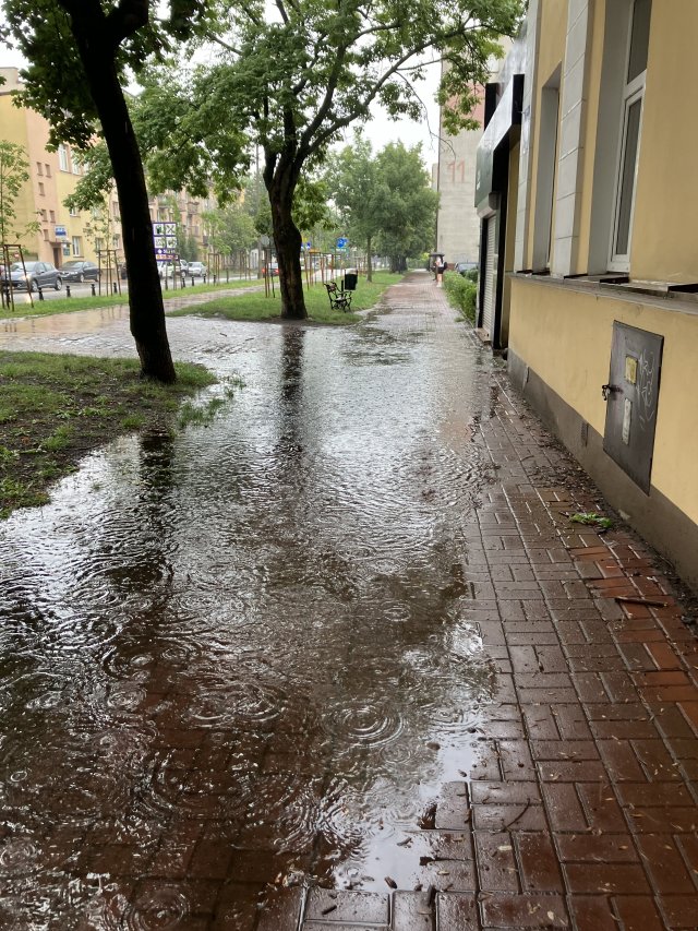 Jestem szczęśliwa bo..