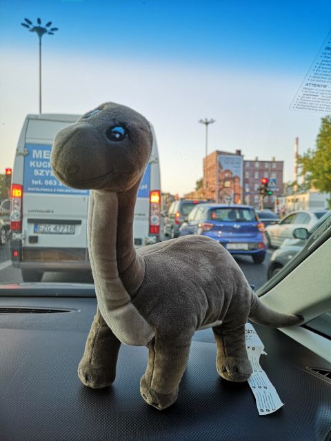 Jestem szczęśliwa bo..