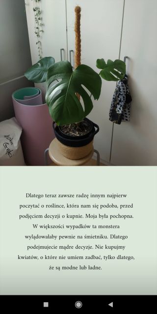 Nasze rośliny 🌿 
