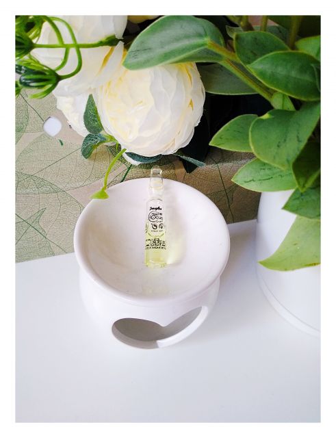 Douglas Serum w ampułkach, Nutri Focus