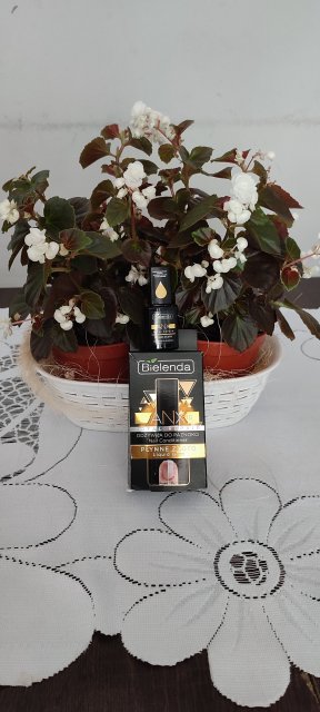 Bielenda Multifunkcyjna odżywka do paznokci płynne złoto