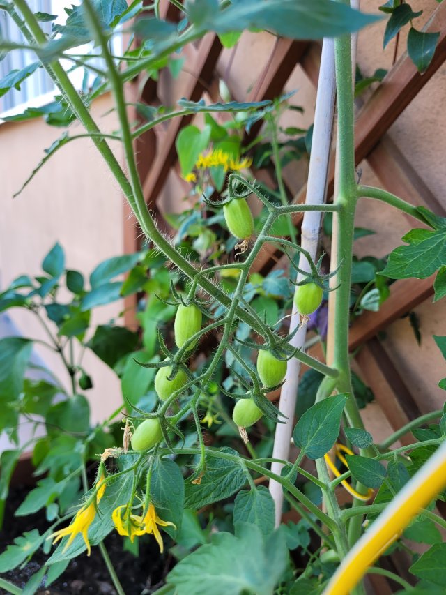 Jestem szczęśliwa bo..