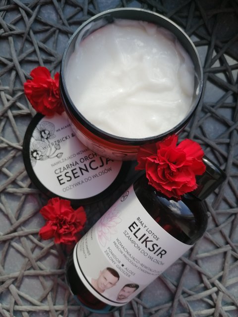 Esencja i eliksir WS Academy 