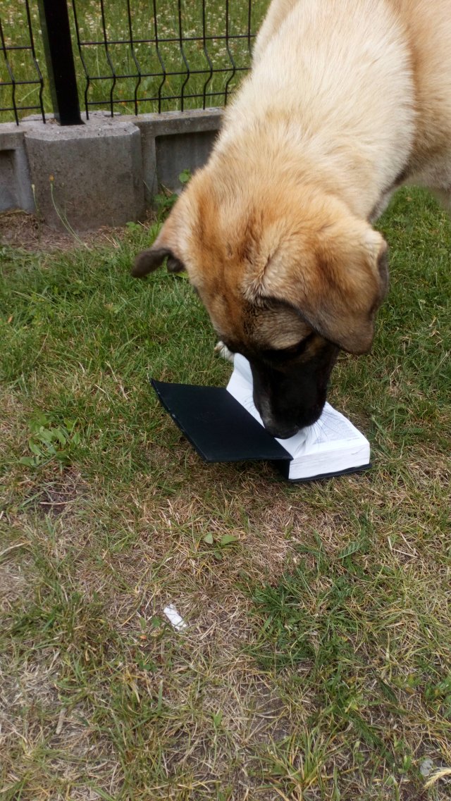 Wyzwanie FOTOGRAFICZNE  - Sierpień ! :) 