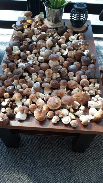 Kulturalne narzekanie na rzeczywistość! Uwaga - zawiera offtopy!