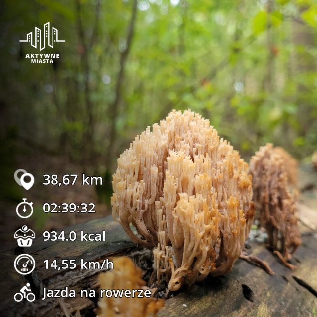 Jestem szczęśliwa bo..