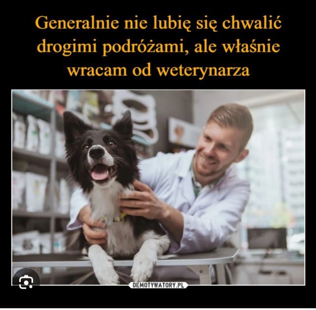 Kulturalne narzekanie na rzeczywistość! Uwaga - zawiera offtopy!