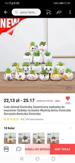 Doniczki zwierzaki z Biedronki