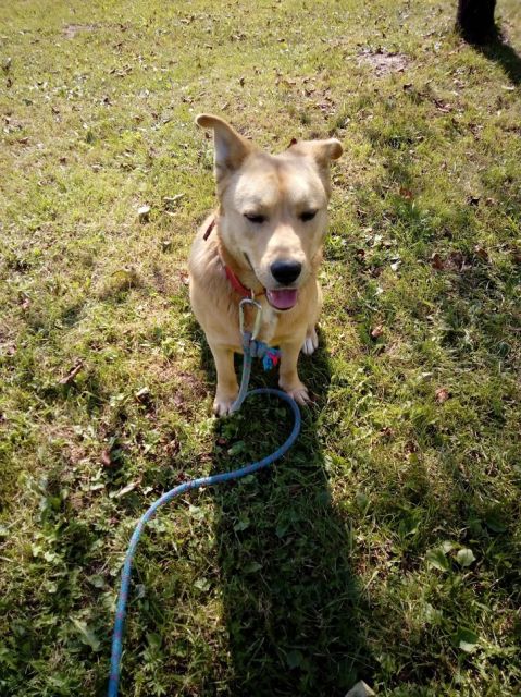 zabawa? wybierz najładniejsze zdjęcie.