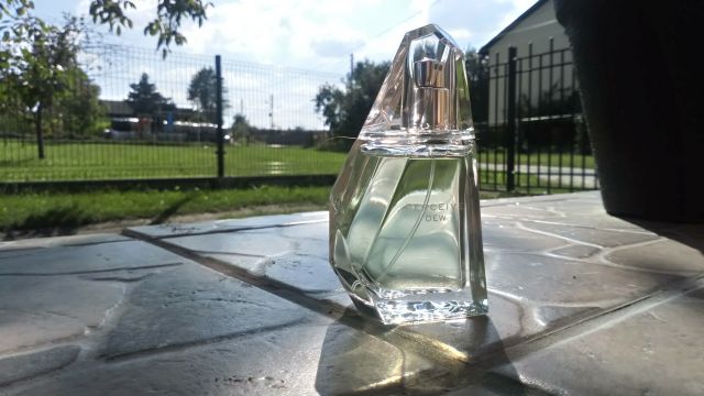 Perfumy Perceive Dew 