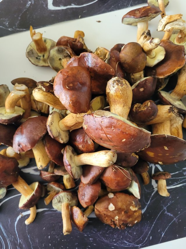 Jestem szczęśliwa bo..