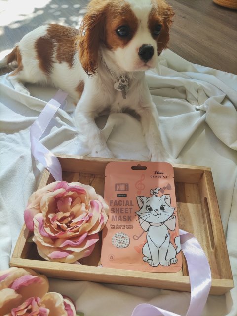 Sence Essentials Disney Classics, Maseczka do twarzy w płacie, Głęboko oczyszczająca, Marie