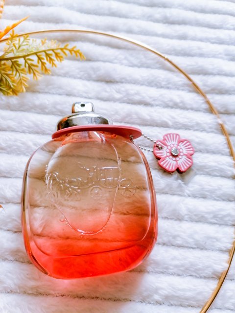perfumy coach coach