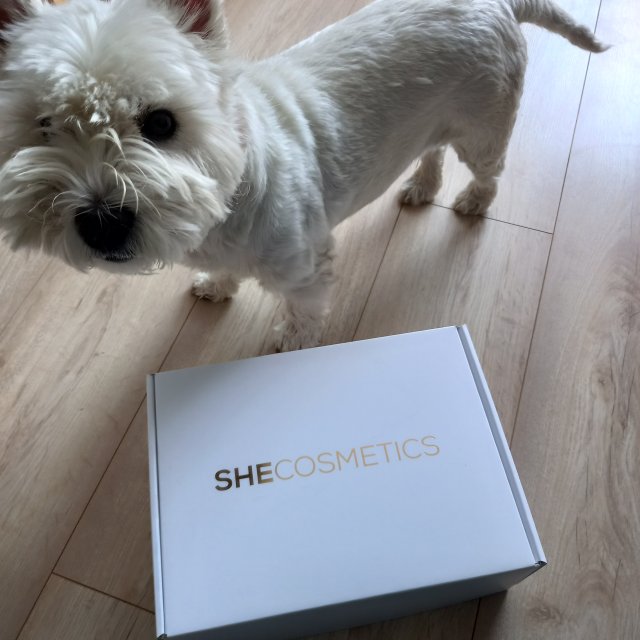 Jestem szczęśliwa bo..