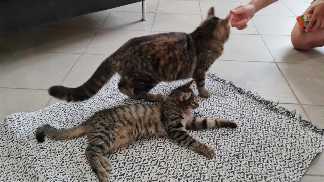 Jestem szczęśliwa bo..