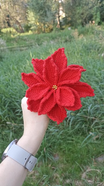 Jestem szczęśliwa bo..