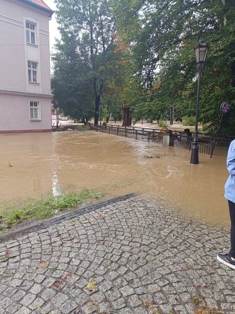 Kulturalne narzekanie na rzeczywistość! Uwaga - zawiera offtopy!