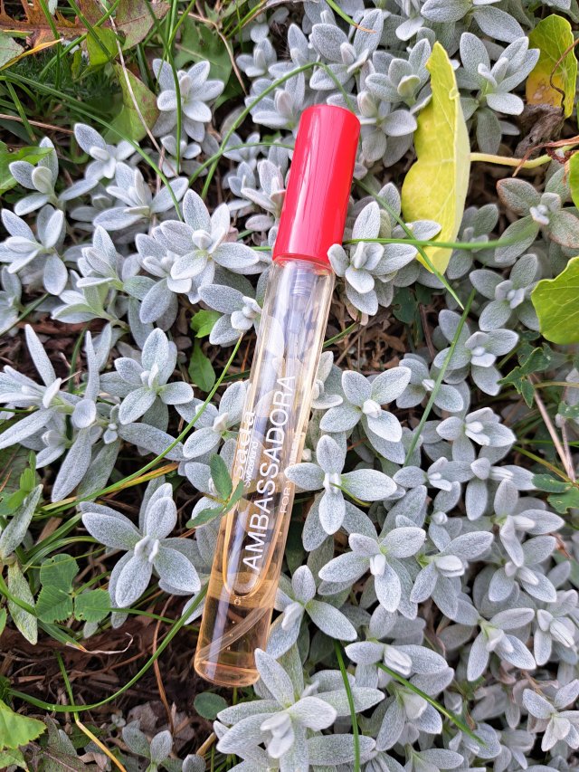 Gisada Woda perfumowana, Ambassadora EDP