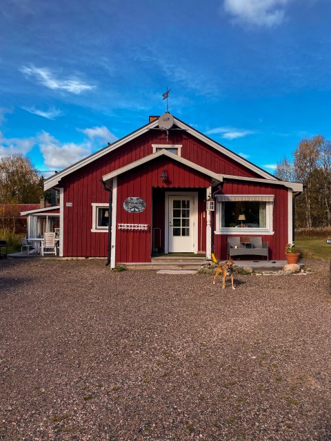 Jestem szczęśliwa bo..