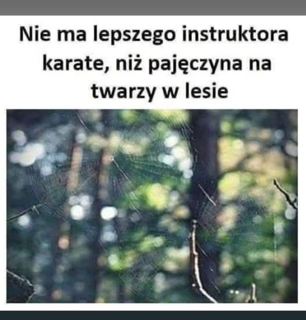 Śmieszki codzienne 