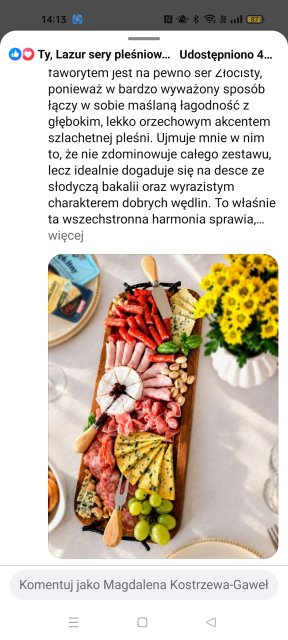Proszę o głos