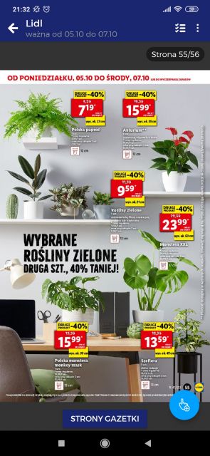 Nasze rośliny 🌿 