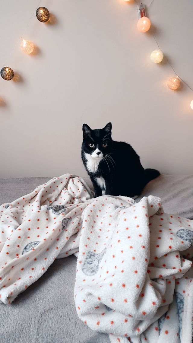 Królowa Dresscloud!