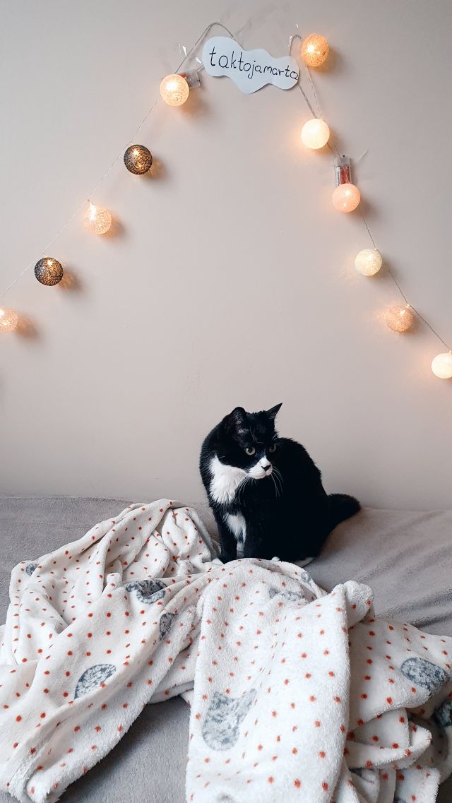 Królowa Dresscloud!