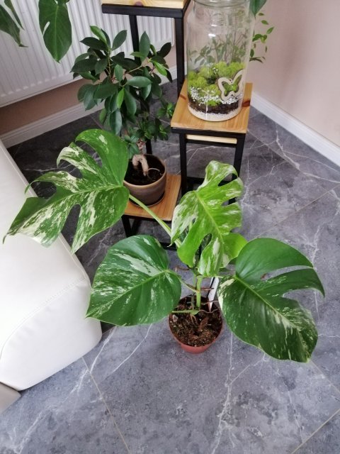 Jestem szczęśliwa bo..