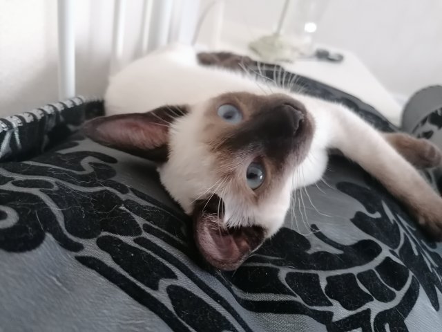 Kulturalne narzekanie na rzeczywistość! Uwaga - zawiera offtopy!