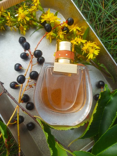 Chloe Woda perfumowana, Chloe Absolu de Parfum EDP