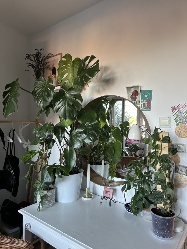 Jestem szczęśliwa bo..