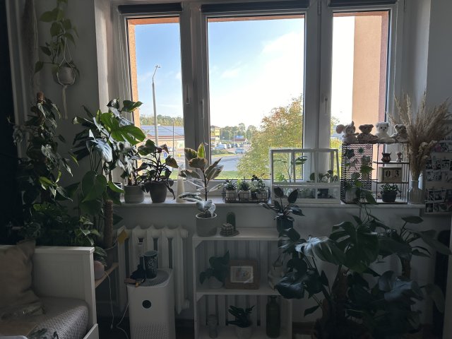 Jestem szczęśliwa bo..